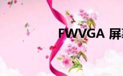 FWVGA 屏幕（fwvga）