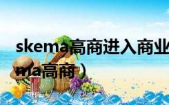 skema高商进入商业咨询与数字化转型（skema高商）