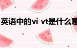 英语中的vi vt是什么意思（vi vt是什么意思）