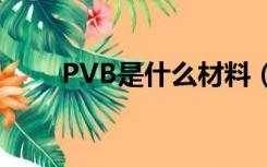 PVB是什么材料（pvb是什么材料）