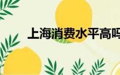 上海消费水平高吗（上海消费水平）