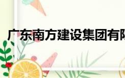 广东南方建设集团有限公司是国企还是私企