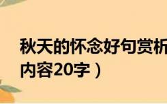 秋天的怀念好句赏析20字（秋天的怀念主要内容20字）