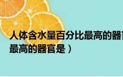 人体含水量百分比最高的器官是肾脏吗（人体含水量百分比最高的器官是）