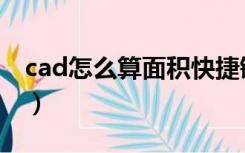 cad怎么算面积快捷键（cad面积计算快捷键）