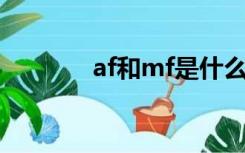 af和mf是什么意思（af mf）