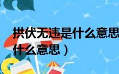 拱伏无违是什么意思?最新破解（拱伏无违是什么意思）