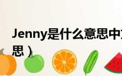 Jenny是什么意思中文人名（jenny是什么意思）