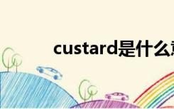 custard是什么意思（custard）