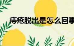 痔疮脱出是怎么回事（什么叫痔疮脱出）