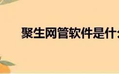 聚生网管软件是什么（聚生网管软件）