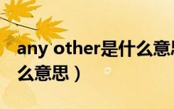 any other是什么意思翻译（any other是什么意思）