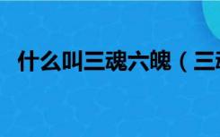 什么叫三魂六魄（三魂六魄还是三魂七魄）