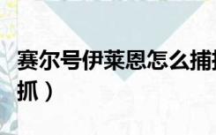 赛尔号伊莱恩怎么捕捉（赛尔号依卡莱恩怎么抓）