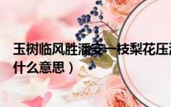 玉树临风胜潘安一枝梨花压海棠什么意思（一枝梨花压海棠什么意思）