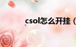 csol怎么开挂（csol挂机脚本）