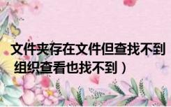 文件夹存在文件但查找不到（win7系统找不到隐藏的文件夹 组织查看也找不到）