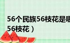 56个民族56枝花是哪首歌的歌词（56个民族56枝花）