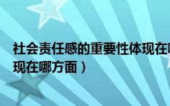 社会责任感的重要性体现在哪些方面（社会责任感的集中表现在哪方面）