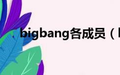 bigbang各成员（bigbang成员介绍）