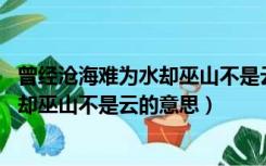 曾经沧海难为水却巫山不是云什么意思（曾经沧海难为水 除却巫山不是云的意思）