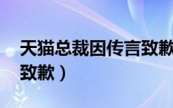 天猫总裁因传言致歉 视频（天猫总裁因传言致歉）