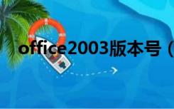 office2003版本号（office2003序列号）