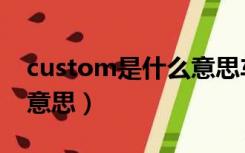 custom是什么意思车上的（custom是什么意思）