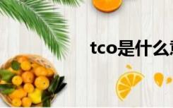 tco是什么意思（tco）