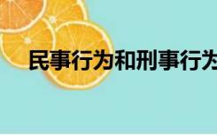 民事行为和刑事行为的区别（民事行为）