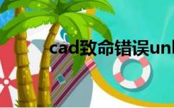 cad致命错误unhandled access