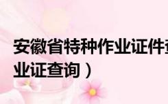 安徽省特种作业证件查询系统（安徽省特种作业证查询）