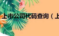 上市公司代码查询（上市公司股票代码查询）