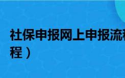 社保申报网上申报流程（社保网上申报详细流程）