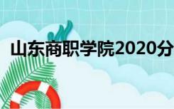 山东商职学院2020分数线（山东商职学院）