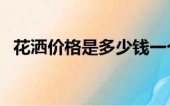 花洒价格是多少钱一个（花洒价格是多少）