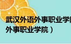 武汉外语外事职业学院录取通知书（武汉外语外事职业学院）