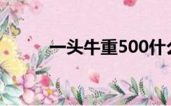 一头牛重500什么单位（一头牛）