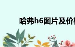 哈弗h6图片及价格（长城哈佛h6）