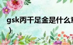 gsk丙千足金是什么意思（千足金是什么意思）