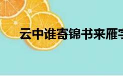 云中谁寄锦书来雁字回时月满西楼翻译