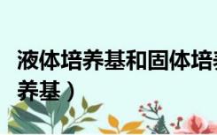 液体培养基和固体培养基的使用区别（液体培养基）