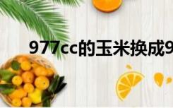 977cc的玉米换成9877yx  com了吗？