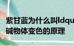 紫甘蓝为什么叫ldquo酸碱指示剂rdquo？酸碱物体变色的原理