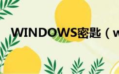 WINDOWS密匙（windows 2003密匙）