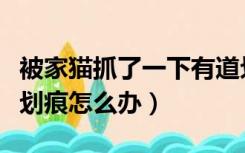 被家猫抓了一下有道划痕（被猫抓了一下有道划痕怎么办）