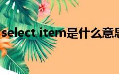 select item是什么意思（select是什么意思）