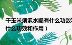 干玉米须泡水喝有什么功效和作用禁忌（干玉米须泡水喝有什么功效和作用）