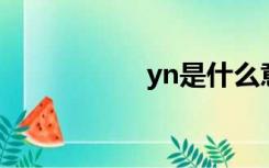 yn是什么意思（YN）