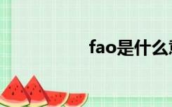 fao是什么意思（fao）